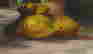 item-97904892=3