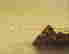 item-118574030=3