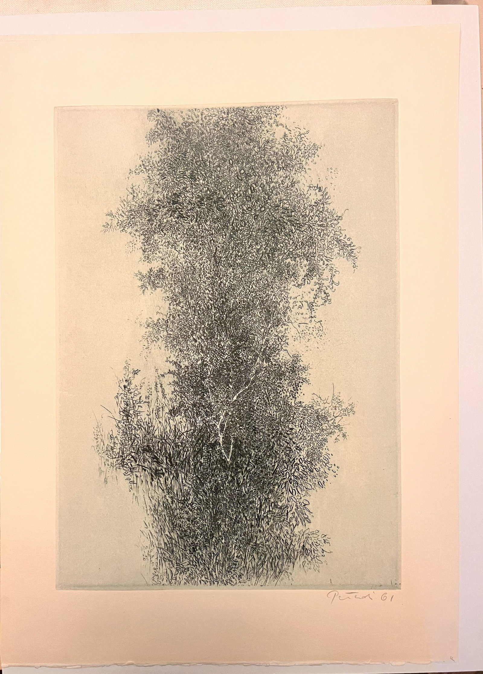 Gabor Peterdi signed Etching and Aquatint 1961: Gabor Peterdi signed Etching and Aquatint 1961, Printed for the "Print Club of Cleveland", 18 x 13" sheet. Born in Budapest on September 17, 1915, Gabor Peterdi began his studies at the Hungarian Acad