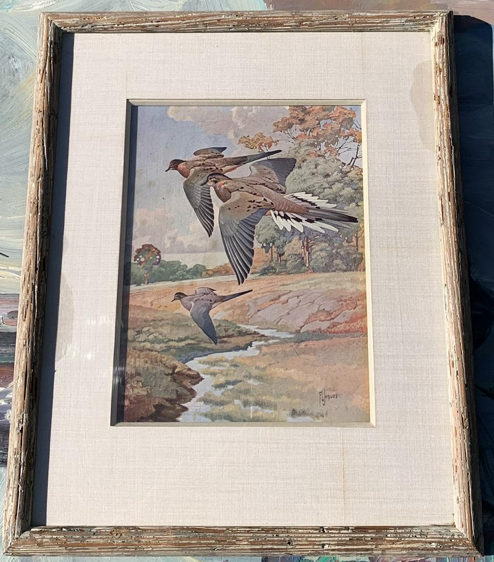 Pair of Francis Lee Jacques Bird Prints in Period Frames: Pair of Francis Lee Jacques Bird Prints in Period Frames, 10 1/2 x 8 1/2", 18 1/2 x 15 1/2" framed. Frames are from Park Ave. Gallery. Possibly Heydenryk Frames.