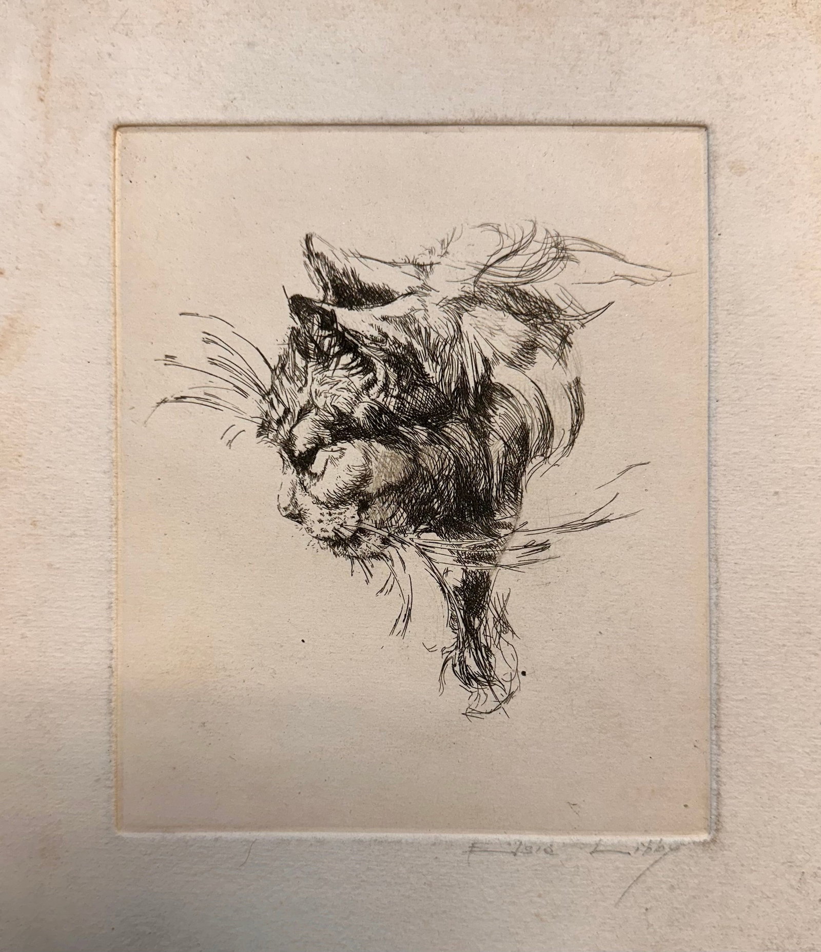 (3) animal Etchings by female artists 2 by African American Artist Elsa Libby Maine Mississippi. 1: (3) animal Etchings by female artists 2 by African American Artist Elsa Libby Maine Mississippi signed, 1 by Mary Cooper Back Wyoming artist 1930 of a dog signed "Topsy" 4 x 5" image size, 2 by Elsa L
