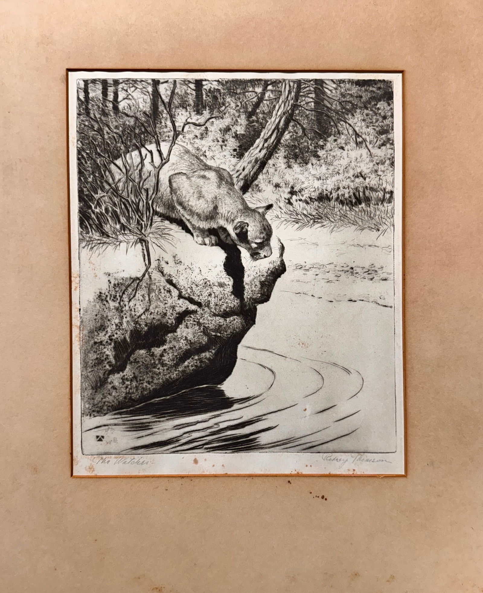 Rodney Thompson New York Artist Big Cat Signed Etching (1 of 4)