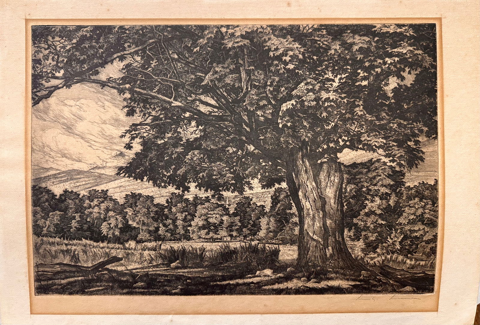 Luigi Luicioni Vermont Artist Etching Signed (1 of 5)