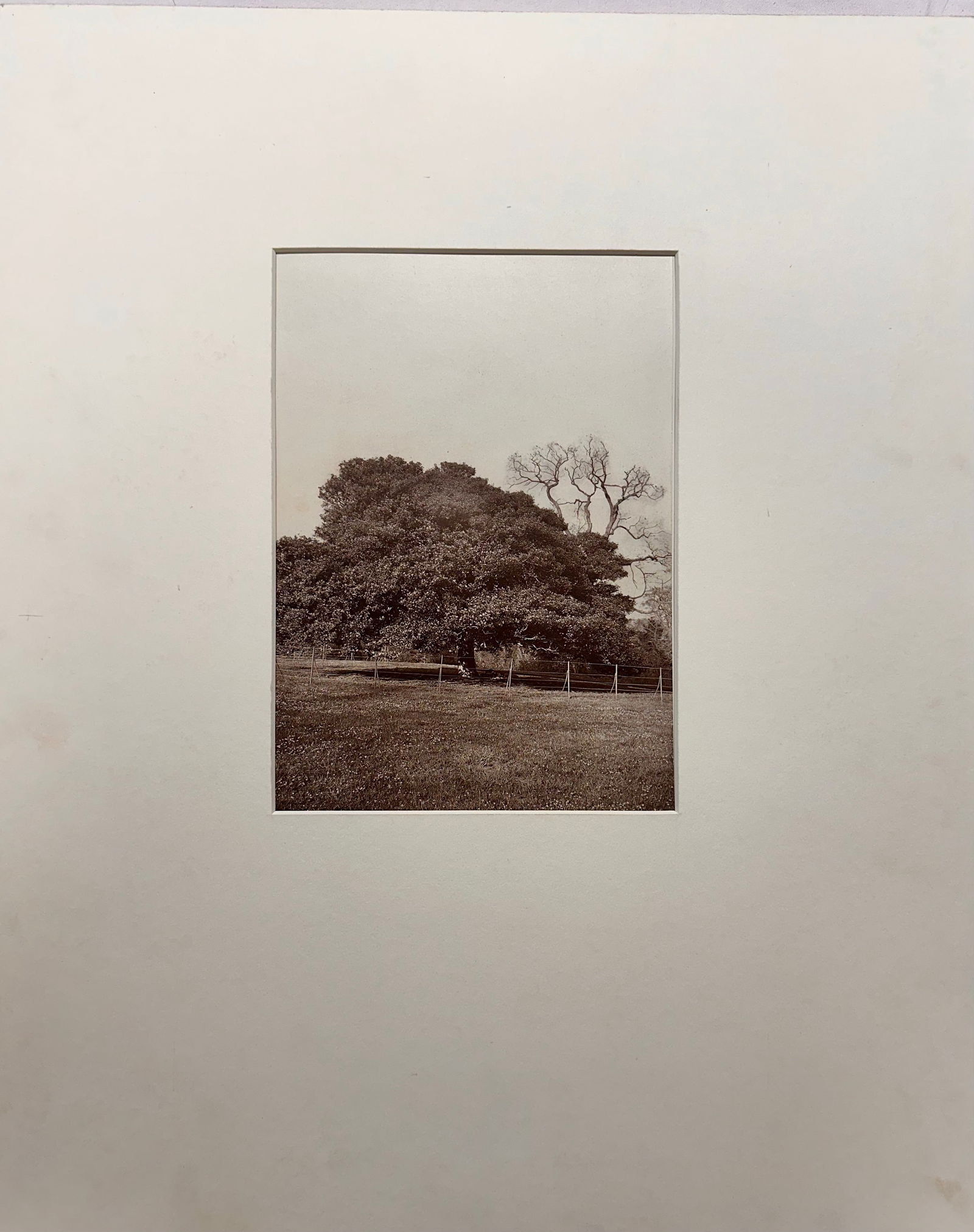 Woodburytype by Andrew Denoon Young Scottish Photographer #2 (1 of 7)