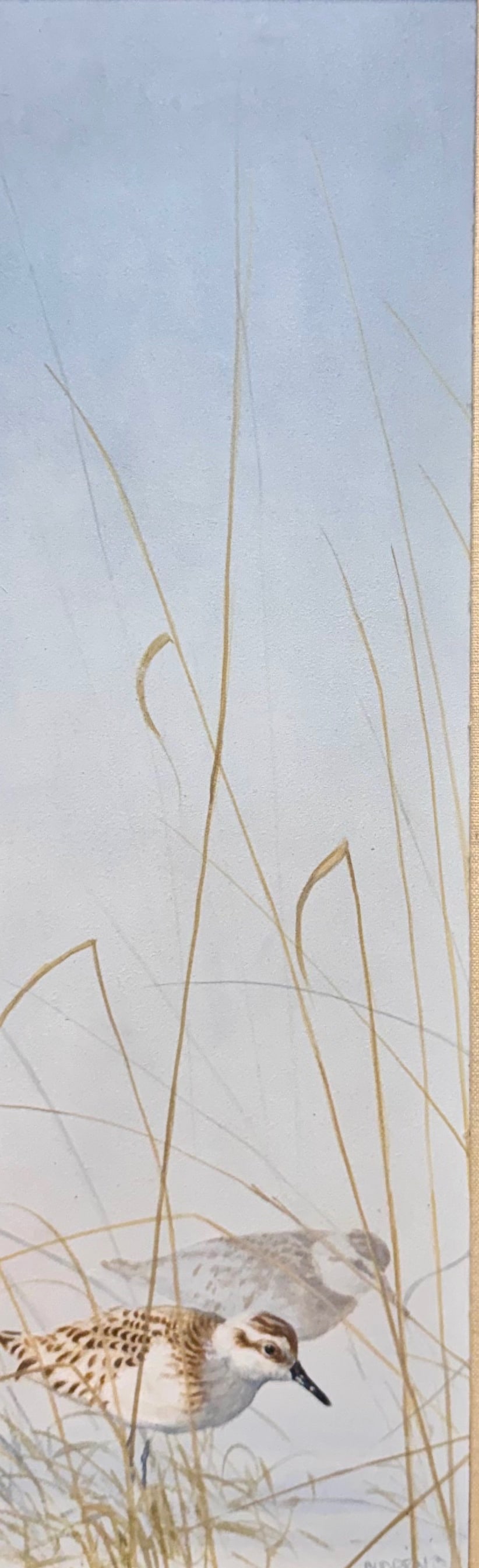 Vintage American Impressionist Oil Painting Wildlife Artist Michael Budden Signed: Vintage American Impressionist Oil Painting Wildlife New Jersey Artist Michael Budden SLR, dated 1963, 19 x 6”, 24 x 11” Michael Budden, born in1957, is an artist living and working in his