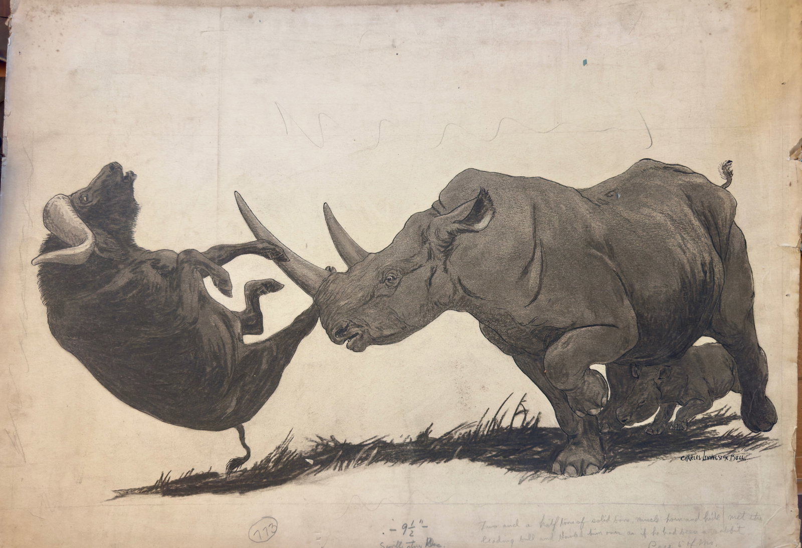 Vintage American Illustration Charles Livingston Bull Original Mixed Media Signed #2: Vintage American Illustration Charles Livingston Bull Original Mixed Media Signed #2, 22 x 30", SLR, A Rhino charging a Musk Ox, entitled 'Two and a half tons of solid bone, muscle, horn, and hide.' M