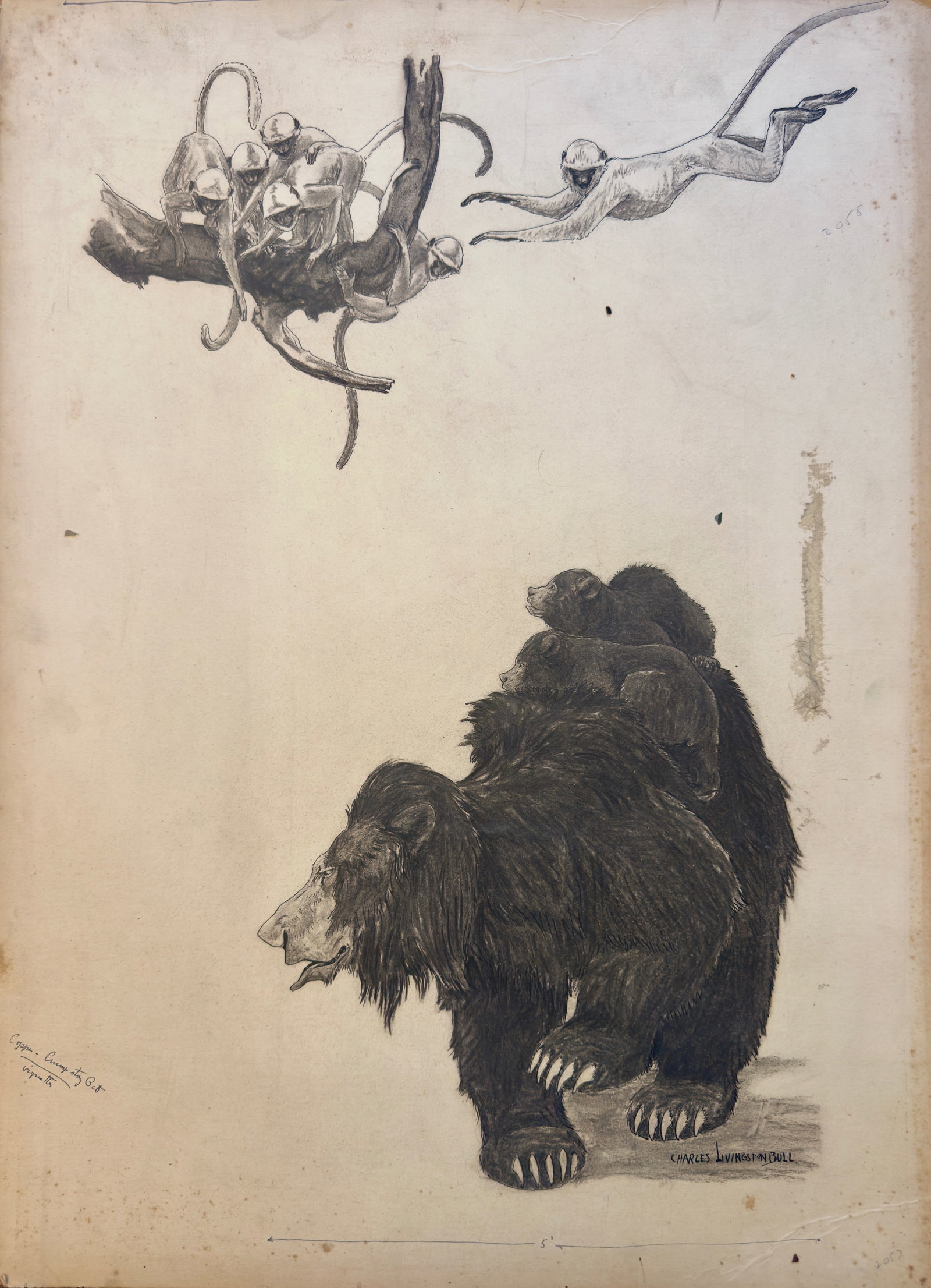 Vintage American Illustration Charles Livingston Bull Original Mixed Media Signed #1: Vintage American Illustration Charles Livingston Bull Original Mixed Media #1, 30 x 22", SLR, . And this is a bear with her cubs. And overhead are monkeys sitting in a branch and also flying. Charles 