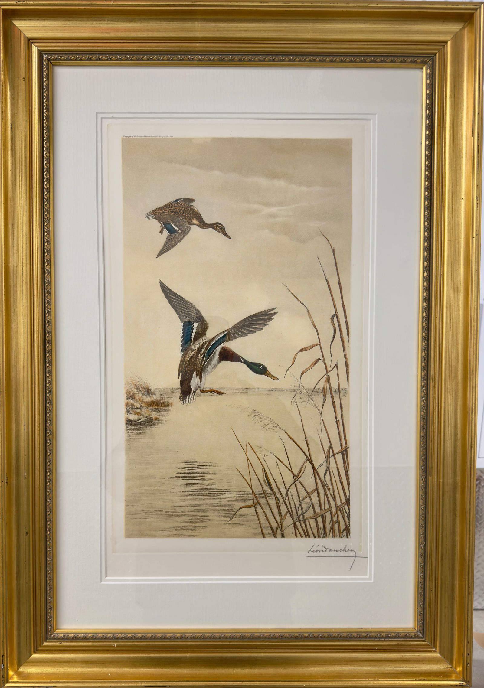 Leon Danchin French Colored Etching Pencil Signed Ducks: Leon Danchin French Colored Etching Pencil Signed Ducks, SLR, 25 x 14", 38 x 26" FrameLéon Danchin (21 June 1887 - 4 August 1938) was a French artist known for his drawings of animals, primarily spor