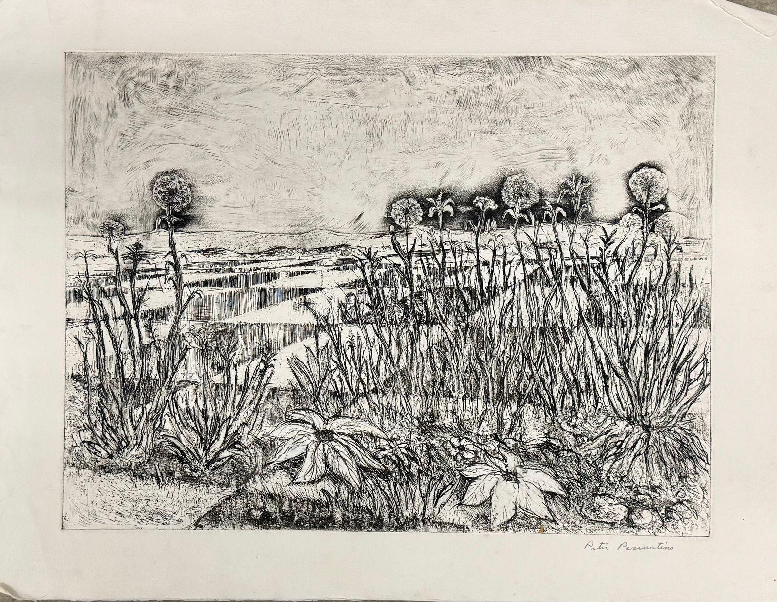 Vintage American MCM Etching signed (1 of 1)