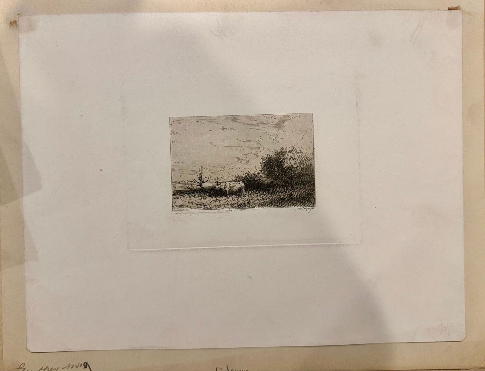 Antique French Engraving  Charles Jacque #3 (1 of 1)