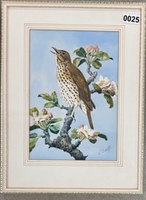 English Artist Charles Frederick Tunnicliffe Bird Watercolor Signed