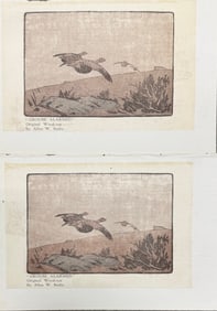 British Artist Allen W. Seaby Waterfowl Original Woodcuts