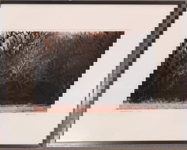 American Contemporary Photograph Mark Ludak Signed: In the early 1980s, Howard moved to New Mexico where his work transitioned from fashion illustration to fine art and he had several art shows in Santa Fe and Albuquerque. An actor, Howard has several