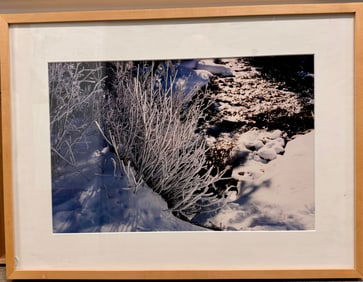 Vintage Evelyn Lauder original color photograph Artist Proof 1