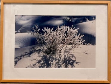 Vintage Evelyn Lauder original color photograph Artist Proof 2