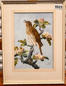 Important British Naturalist Bird Artist Charles Frederick Tunnicliffe watercolor signed