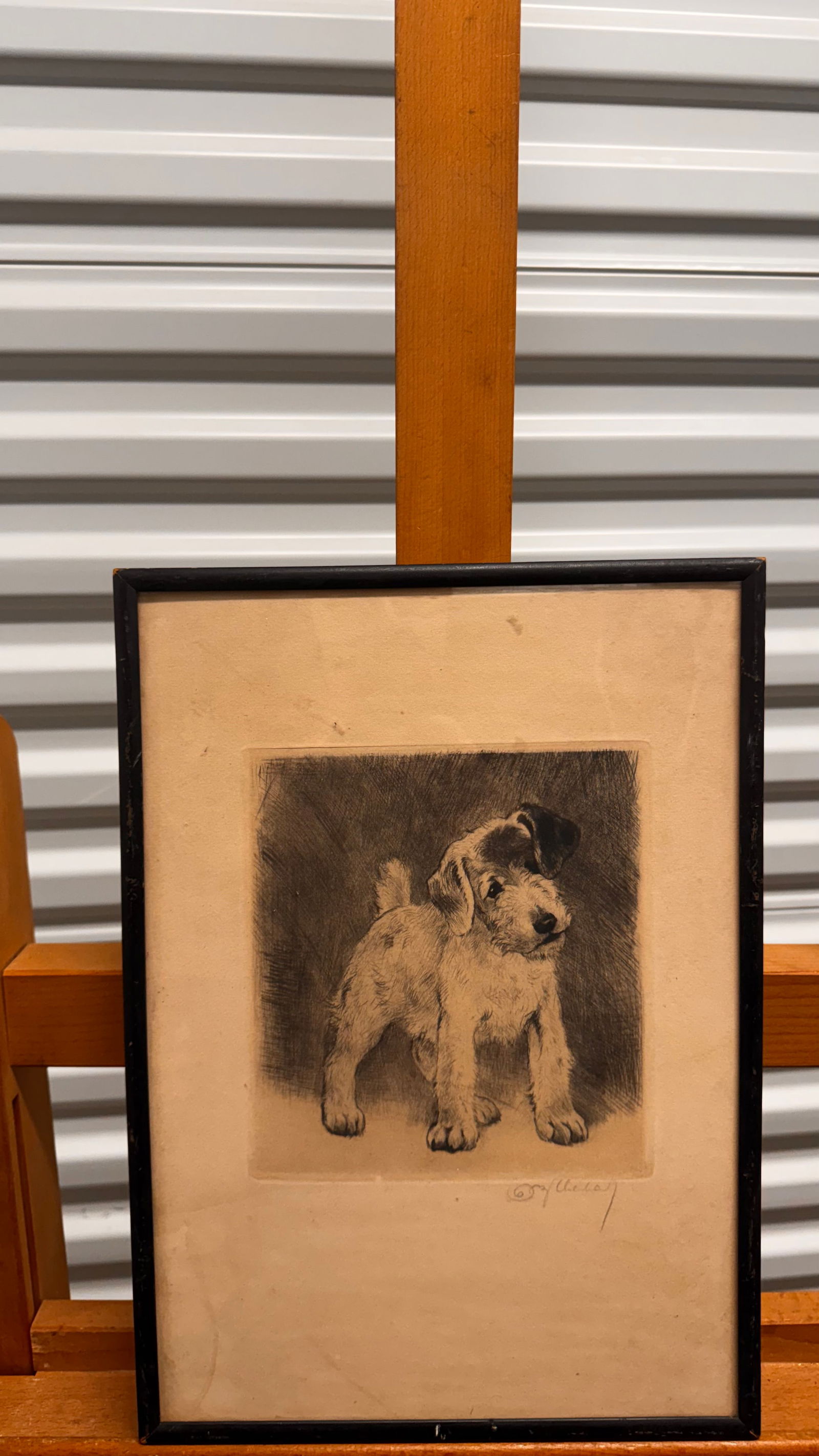 Vintage German Etching Kurt Meyer-Eberhardt Wire Fox Terrier Dog Signed (1 of 4)