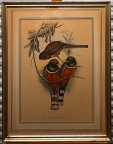 (2) Pair of 19th Century John Gould Ornithological Bird Colored Lithographs