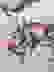 item-89727647=6