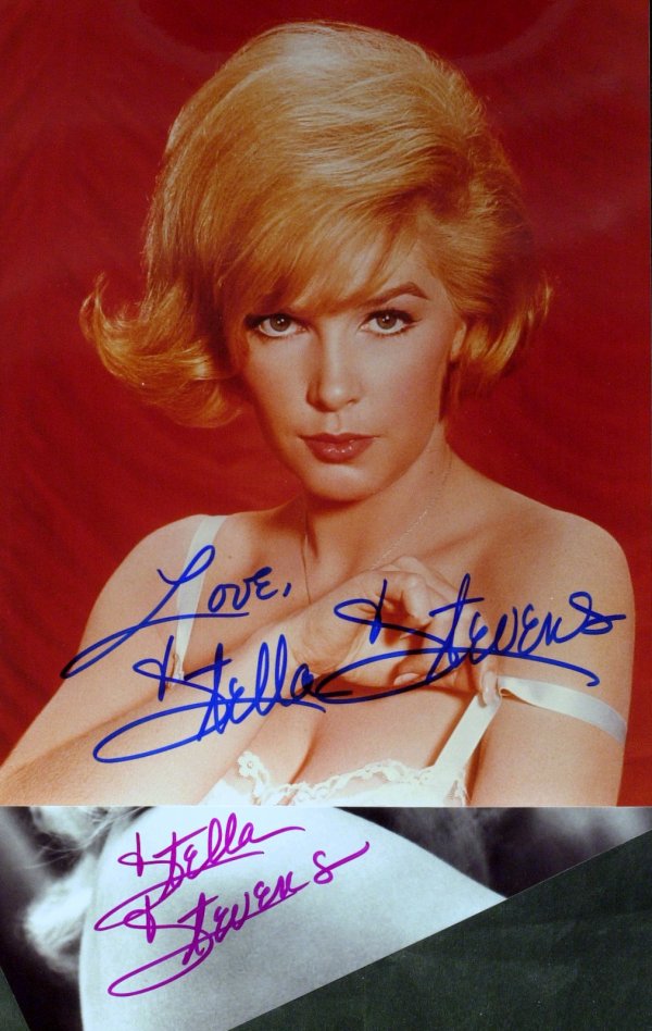 Actress STELLA STEVENS - 5 Sexy Photos Signed: Stella Stevens (1936- ) Actress. Stevens' many delightful comic characterizations include Apassionata von Climax in the movie version of Li'l Abner, Glenn Ford's drum-playing girlfriend in Courtship o