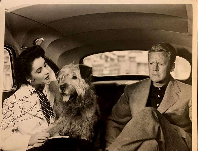 Taylor,Elizabeth Signed Photo (1 of 1)