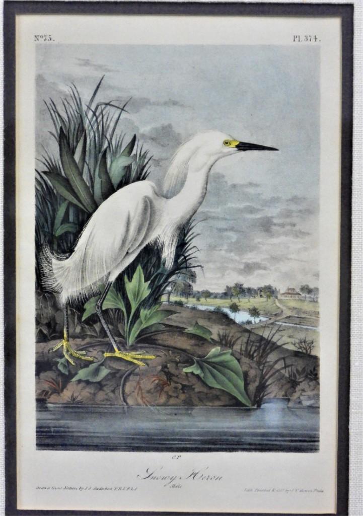 The birds of America John James Audubon (1 of 7)