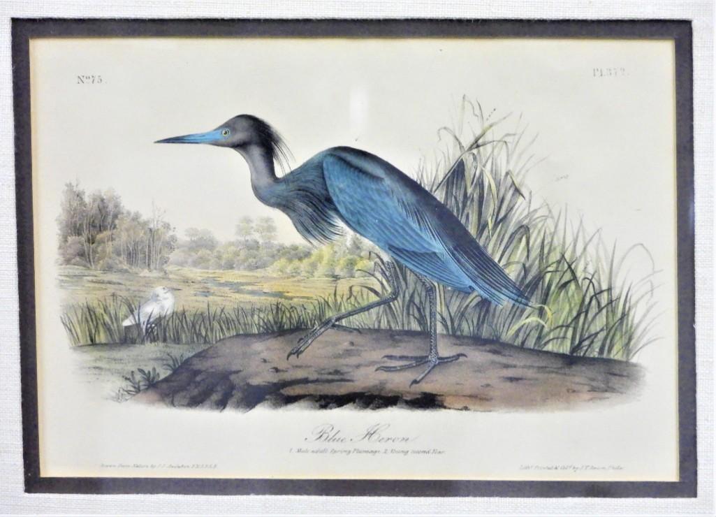 The birds of America John James Audubon (1 of 6)