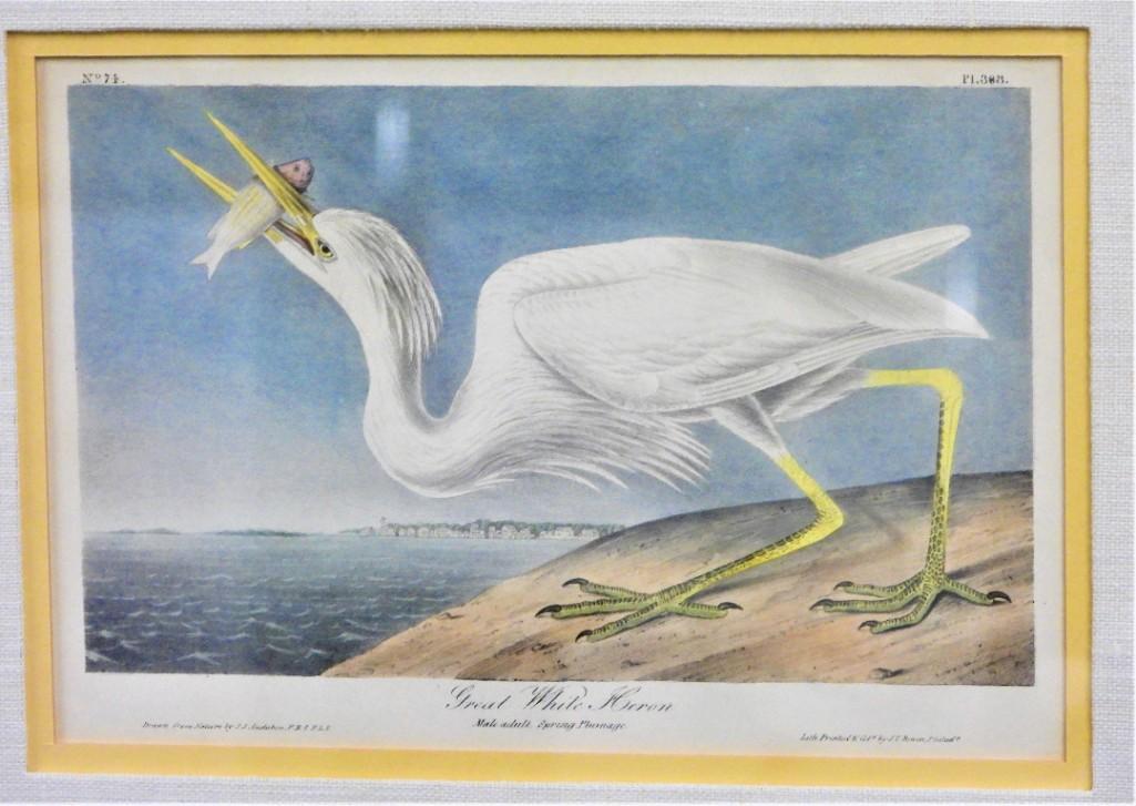 The birds of America John James Audubon (1 of 6)