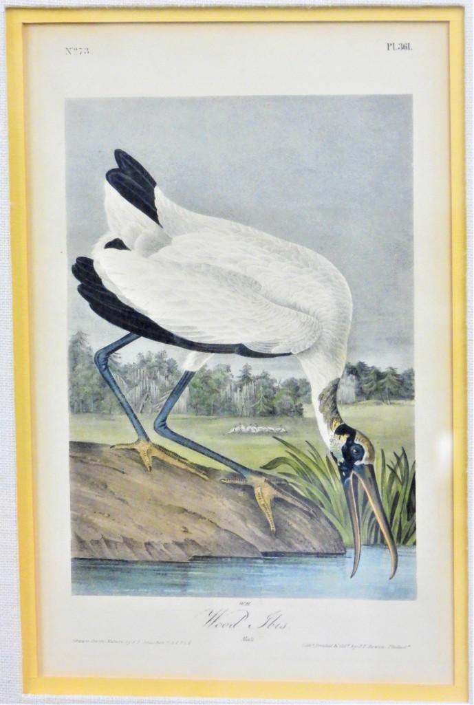 The birds of America John James Audubon (1 of 5)