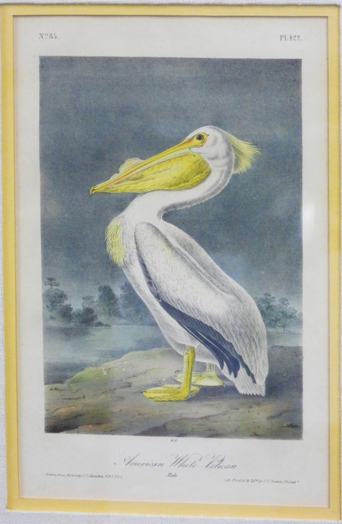 The birds of America John James Audubon (1 of 5)