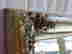 item-129047095=4