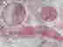 item-129047395=2