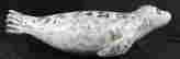 item-131775013=5