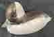 item-131775036=6