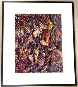 Framed Enhanced Photograph signed lower right