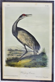 The birds of America John James Audubon