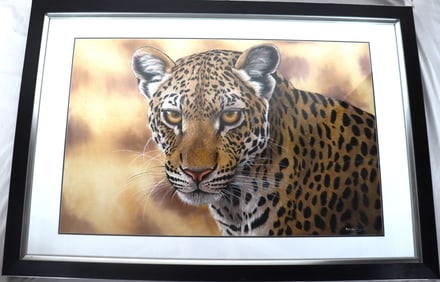 Framed painting on Paper signed Rajendra Singh INDIA. Titled the front facing Panther.