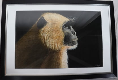 Framed painting on Paper signed Banvari Sharona. Titled Wild vervet monkey.