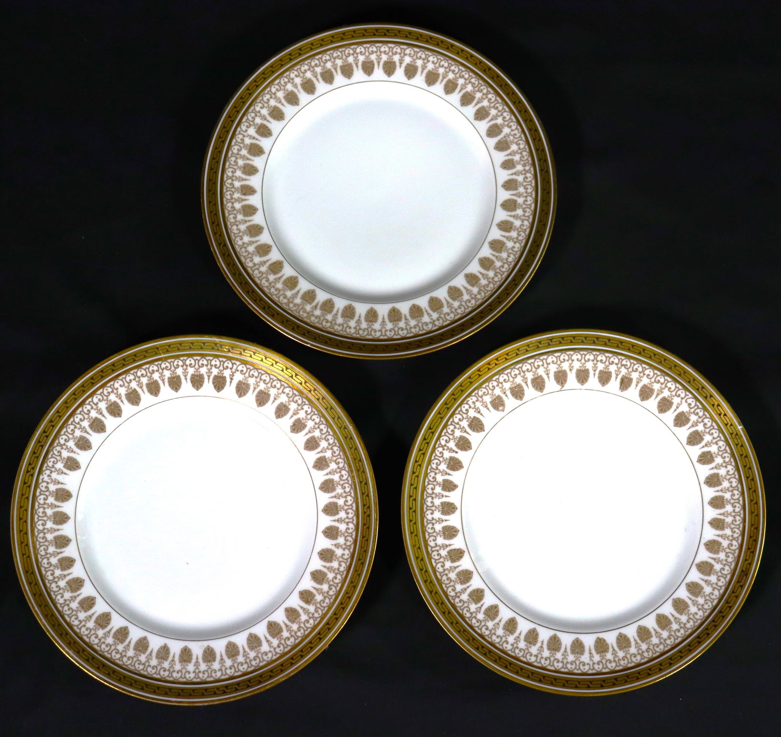 Three D & C Limoges France Porcelain Plates: Three D & C Limoges France Porcelain Plates Bernardaud Patter DIMENSIONS for each one: Diameter: 8.30 inch / 21,2 cm 