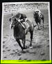 Forward Pass winners 1968 at Florida derby Photo 10x8