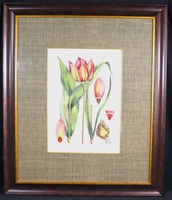 FRAMED Watercolor on Paper unsigned