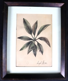 Framed Mixed Media on paper signed Joseph Stella