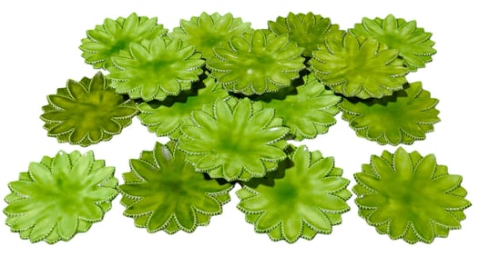 16 x Pineapple leaf plates