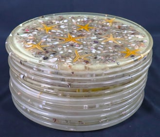Set of 12 Vintage starfish shell, resin Mar Charger platter made in Italy