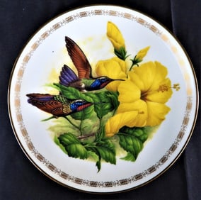 Garnet-throated Hummingbird the Jeweled Hummingbirds Plate Collection Hamilton