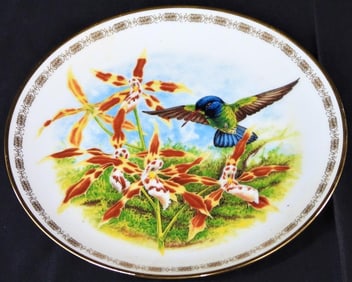 Pearl Coronet Hummingbird The Jeweled Hummingbirds Plate Collection Hamilton