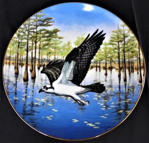 Plate The Majesty of Flight plate Collection by Thomas Hirata