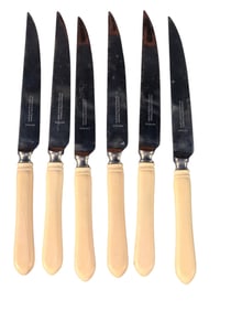Bone Handle dinner Knife with Wood holder Set of six