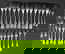 item-208830711=3