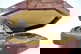 item-208830712=7